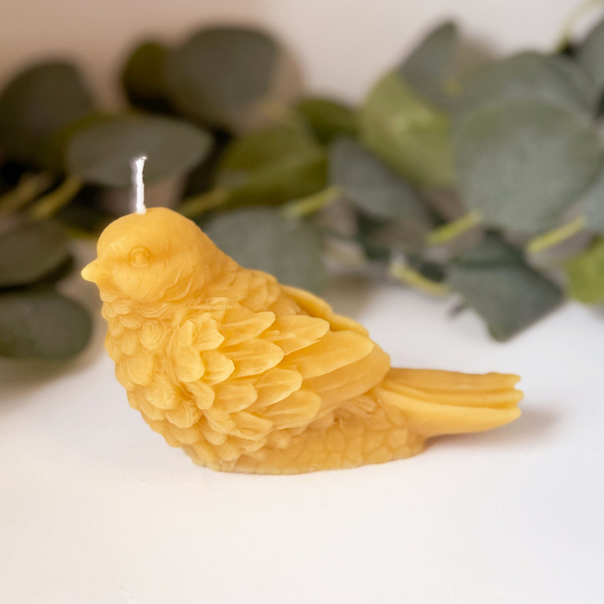 Large Bird Candle