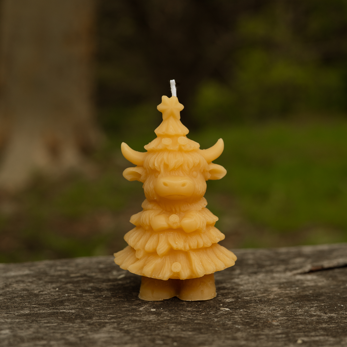 Medium Christmas Trees