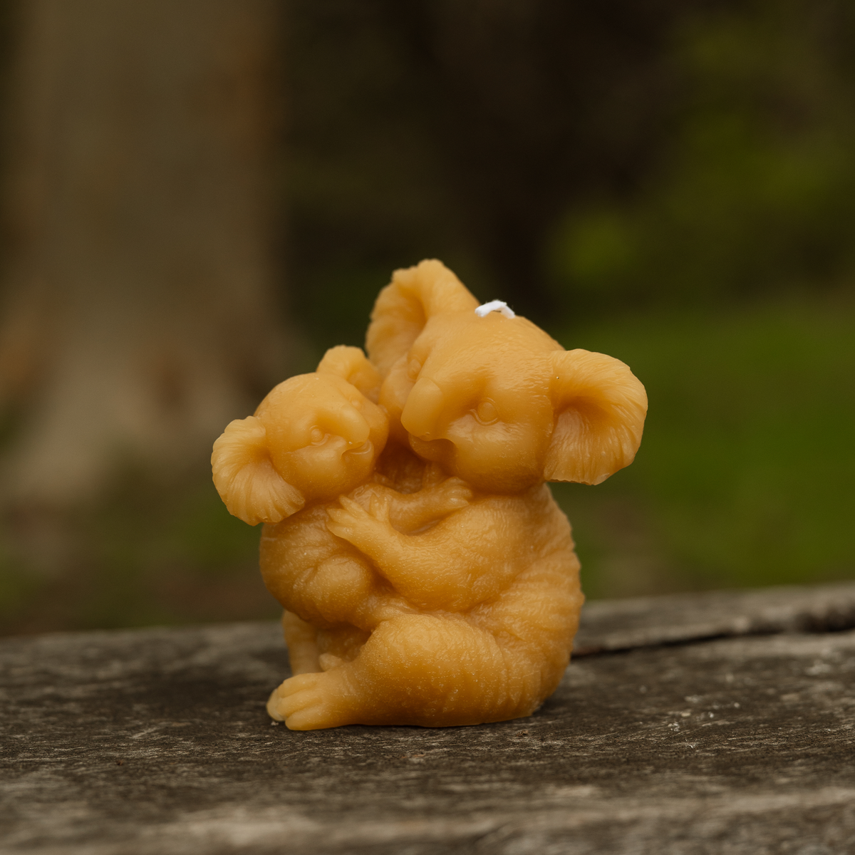 Koala Candles