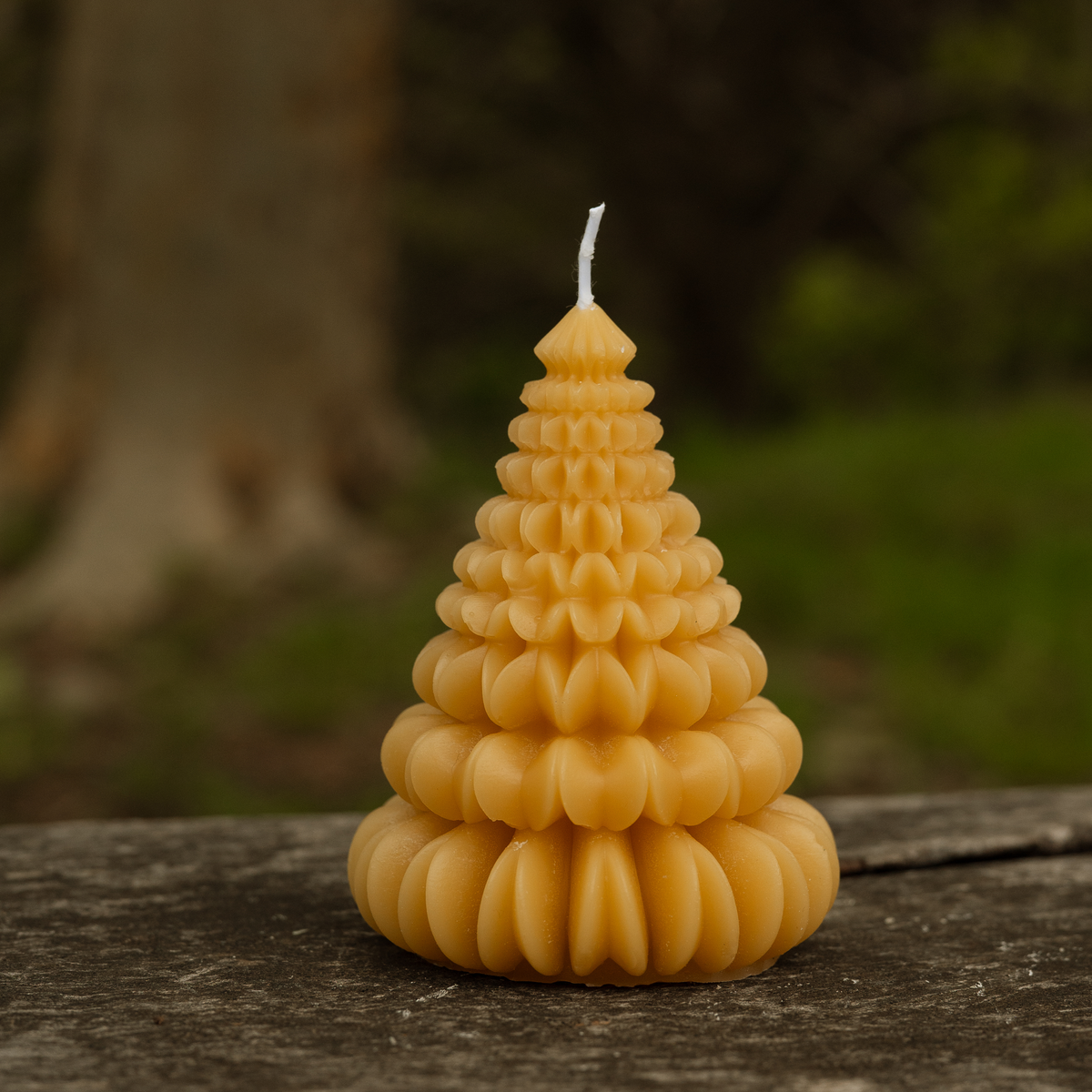 Large Christmas Trees