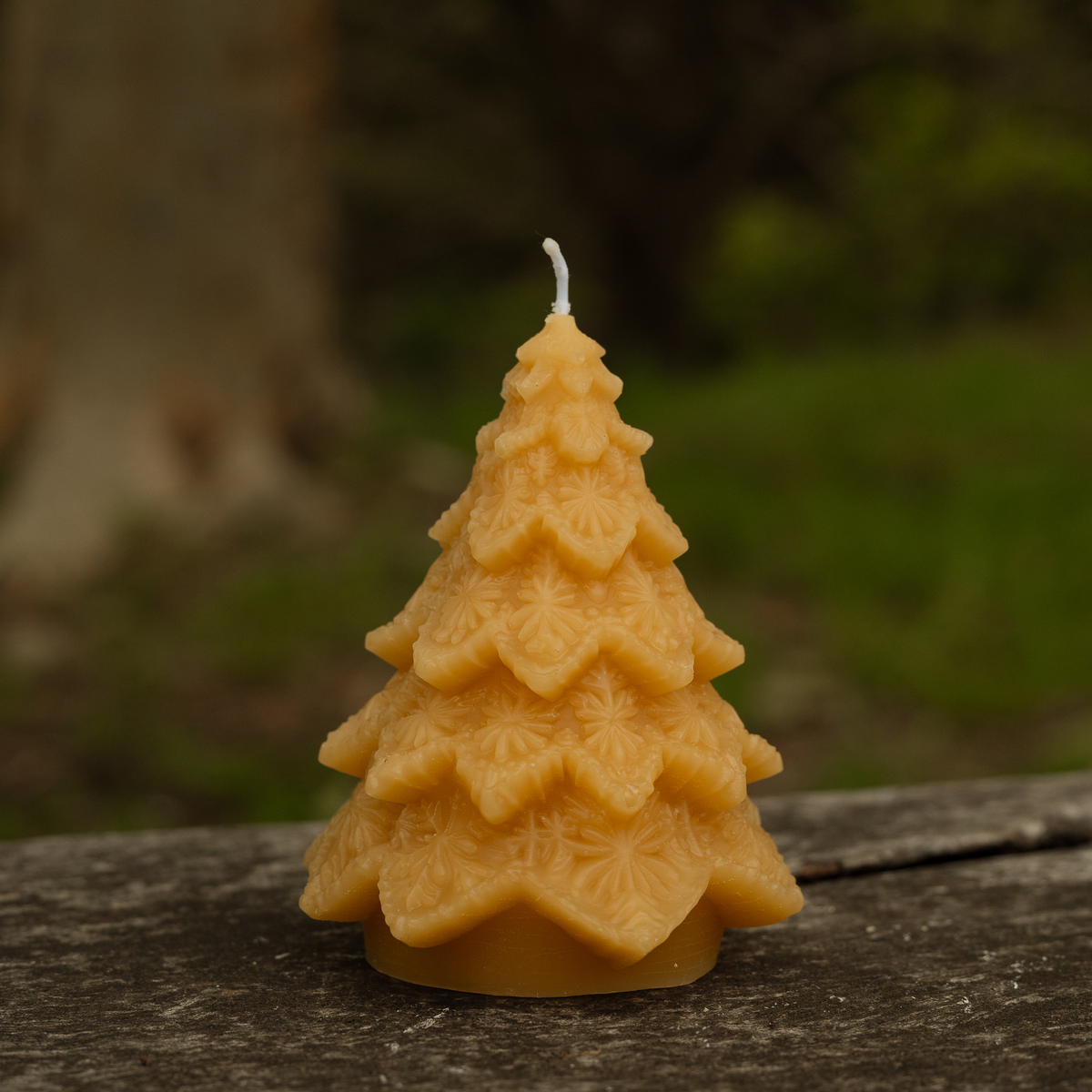 Large Christmas Trees