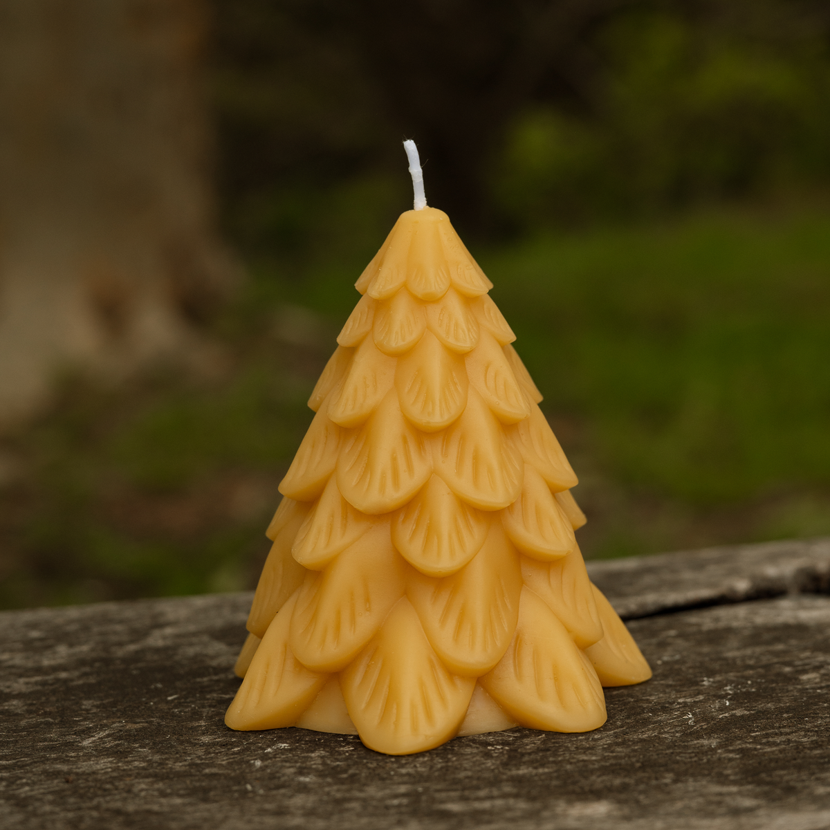 Large Christmas Trees