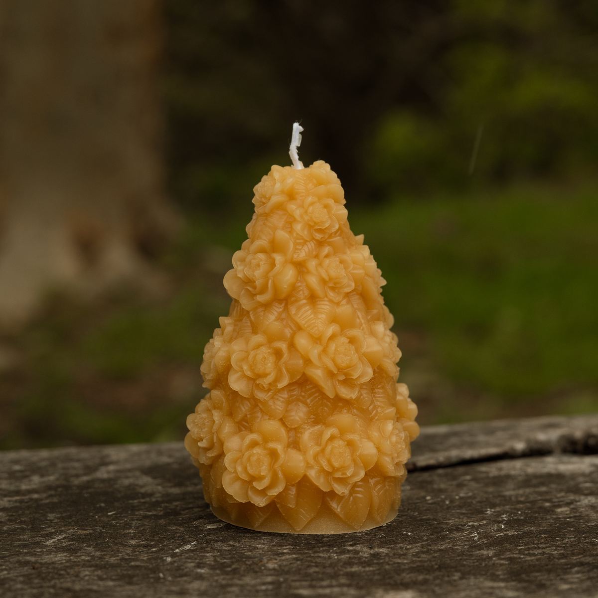 Large Christmas Trees