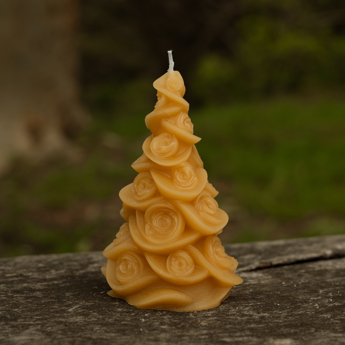 Large Christmas Trees