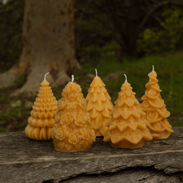 Large Christmas Trees