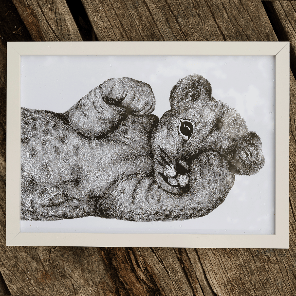 Lion Cub - Print