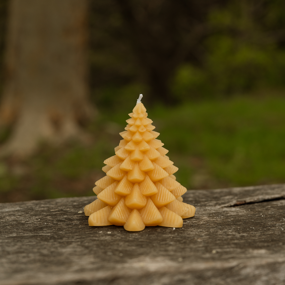 Medium Christmas Trees