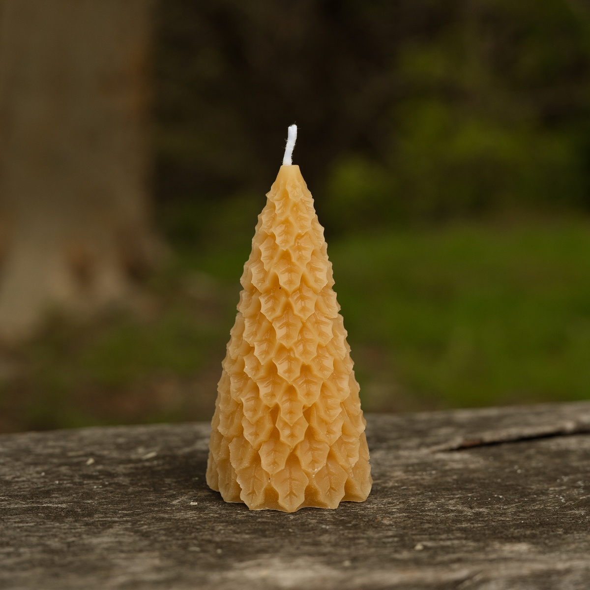 Medium Christmas Trees