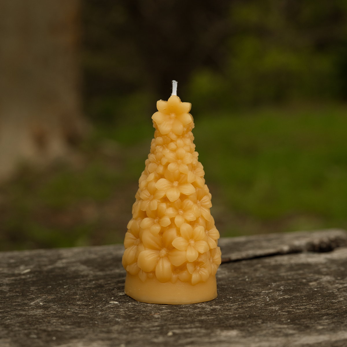 Medium Christmas Trees