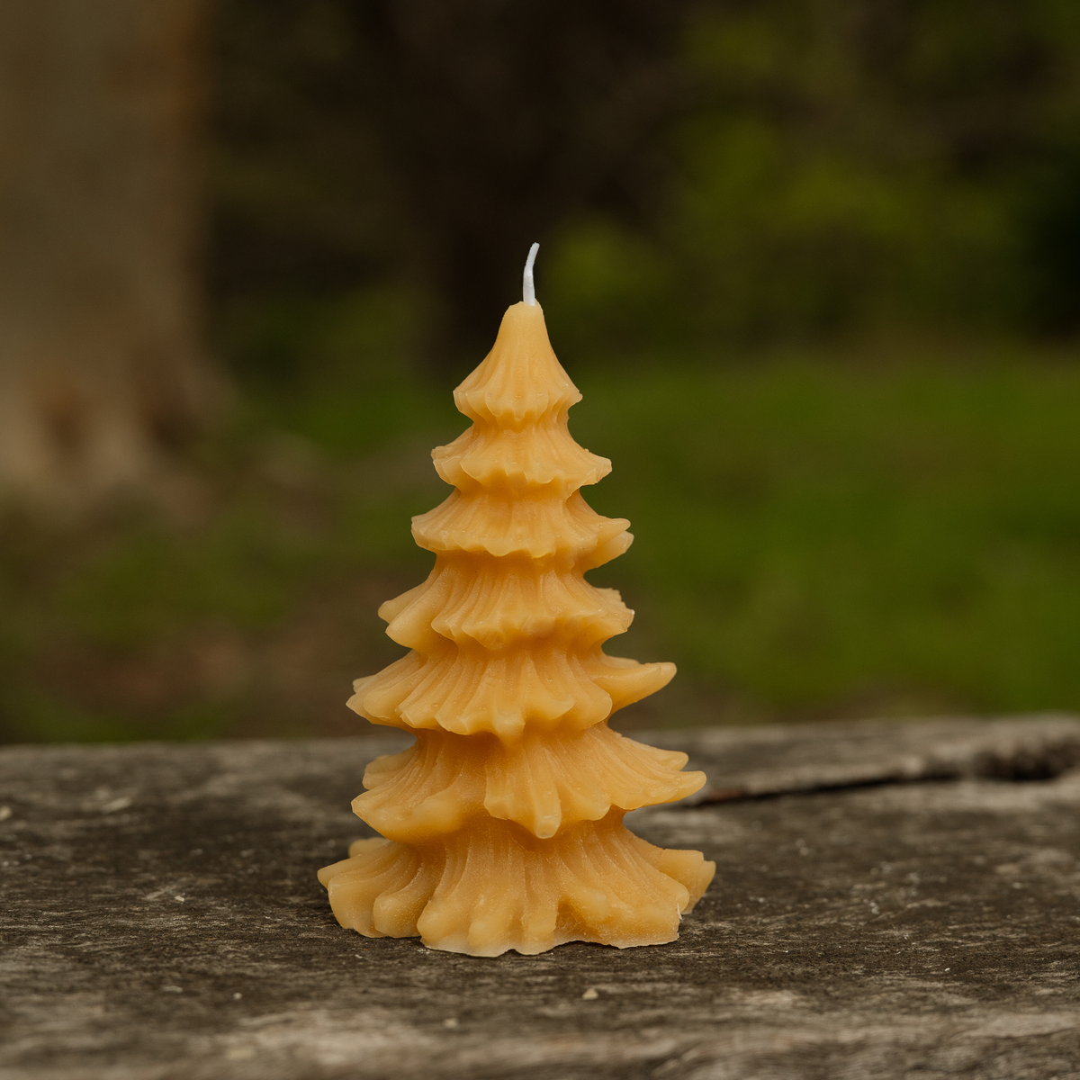 Medium Christmas Trees