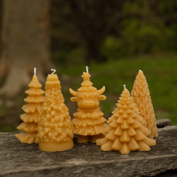 Medium Christmas Trees